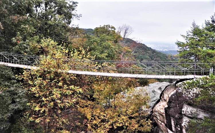 suspension bridge